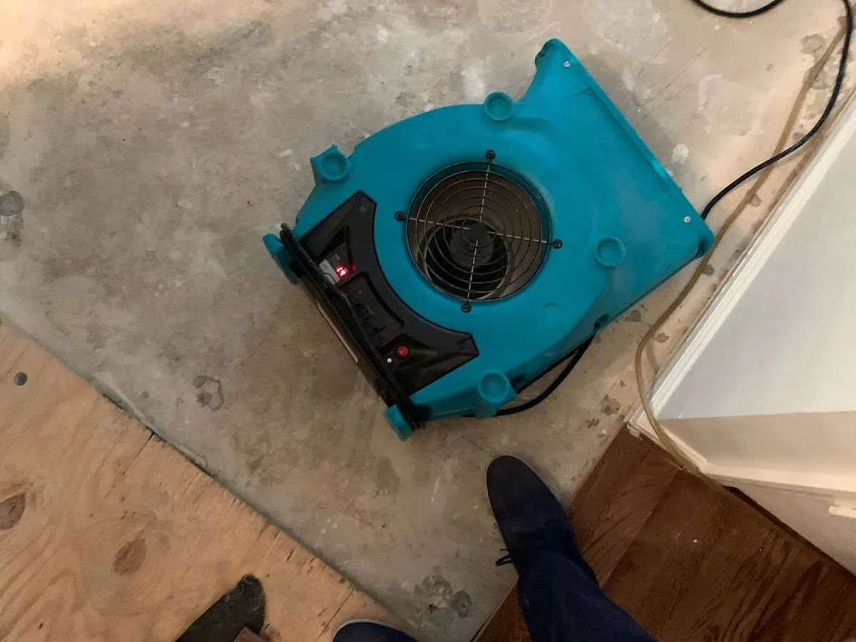 Air mover drying subfloor during Leak Detection & Repair in Morehead City